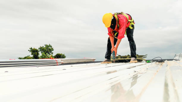 Best Roof Moss and Algae Removal  in Frewsburg, NY